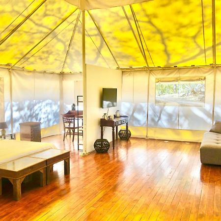 Hotel Hyla Nature Retreat San José Pinilla Zewnętrze zdjęcie